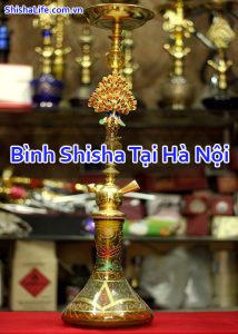 Bình Shisha Tại Hà Nội