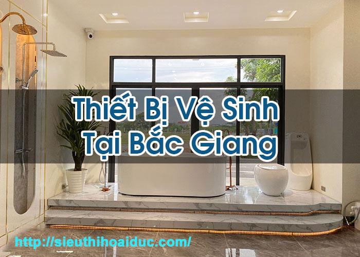 Thiết Bị Vệ Sinh Tại Bắc Giang