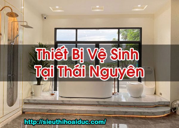 Thiết Bị Vệ Sinh Tại Thái Nguyên