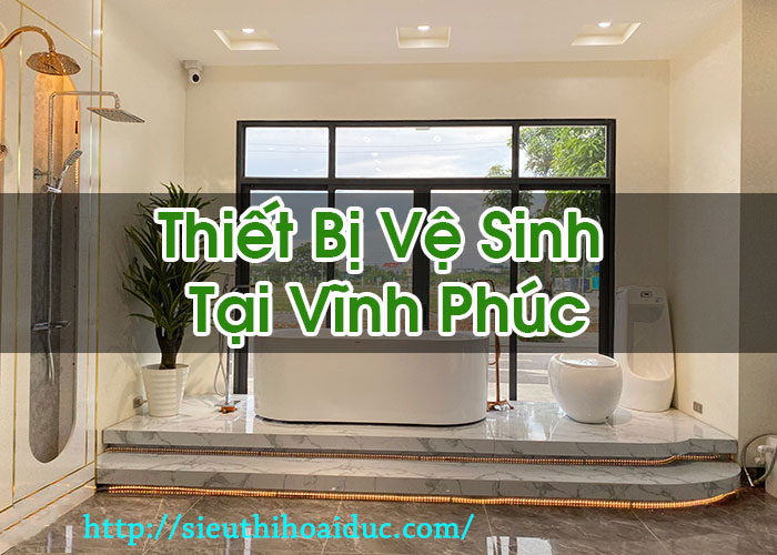 Thiết Bị Vệ Sinh Tại Vĩnh Phúc