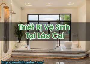 Thiết Bị Vệ Sinh Tại Lào Cai