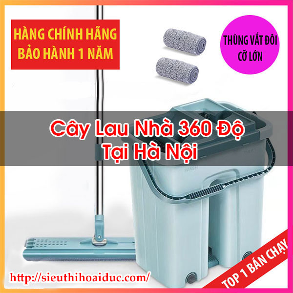 Cây Lau Nhà 360 Độ Tại Hà Nội