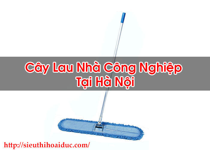 Cây Lau Nhà Công Nghiệp Tại Hà Nội