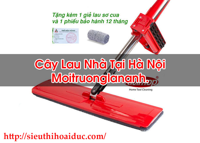 Cây Lau Nhà Tại Hà Nội