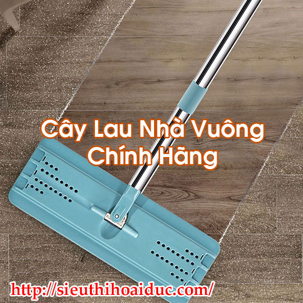 Cây Lau Nhà Vuông