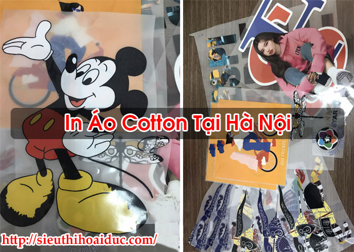 In Áo Cotton Tại Hà Nội