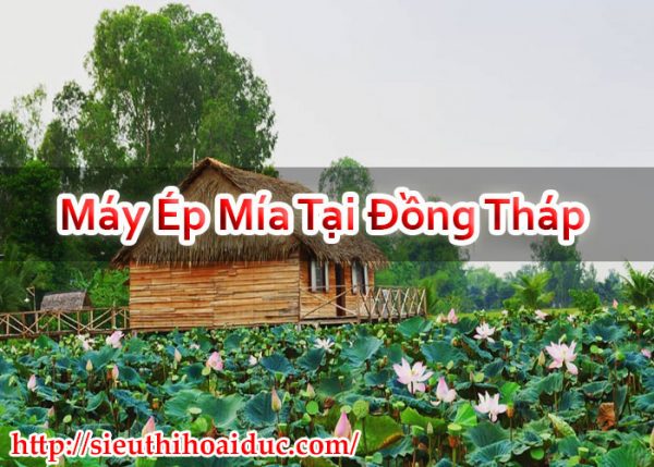 Máy Ép Mía Tại Đồng Tháp