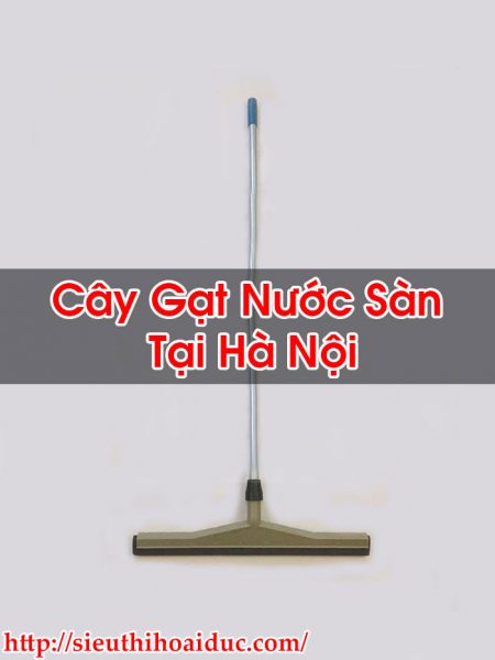 Cây Gạt Nước Sàn Tại Hà Nội