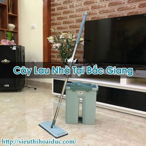 Cây Lau Nhà Tại Bắc Giang