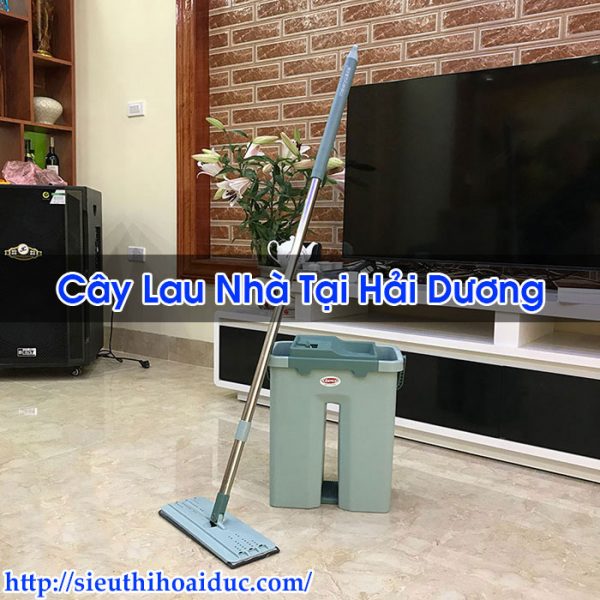 Cây Lau Nhà Tại Hải Dương