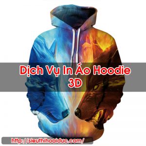 In Áo Hoodie 3D