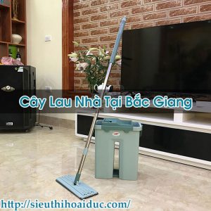 Cây Lau Nhà Tại Hưng Yên