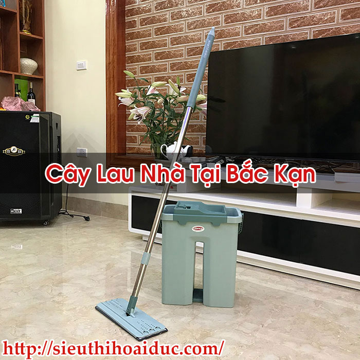 Cây Lau Nhà Tại Bắc Kạn