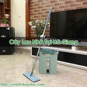 Cây Lau Nhà Tại Hà Giang