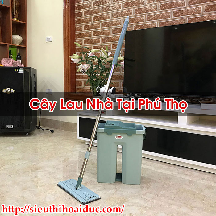 Cây Lau Nhà Tại Phú Thọ