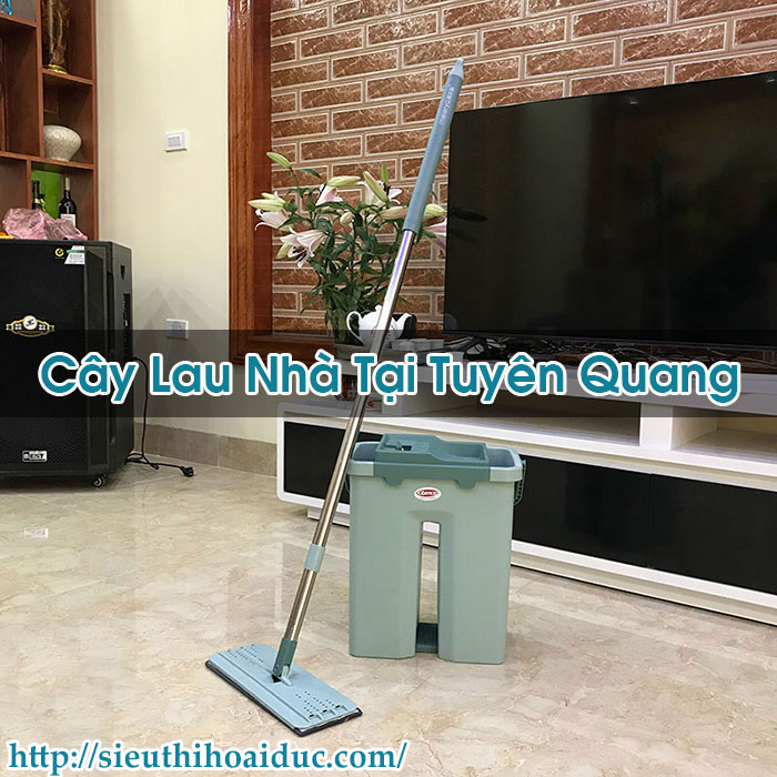 Cây Lau Nhà Tại Tuyên Quang