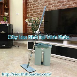 Cây Lau Nhà Tại Vĩnh Phúc