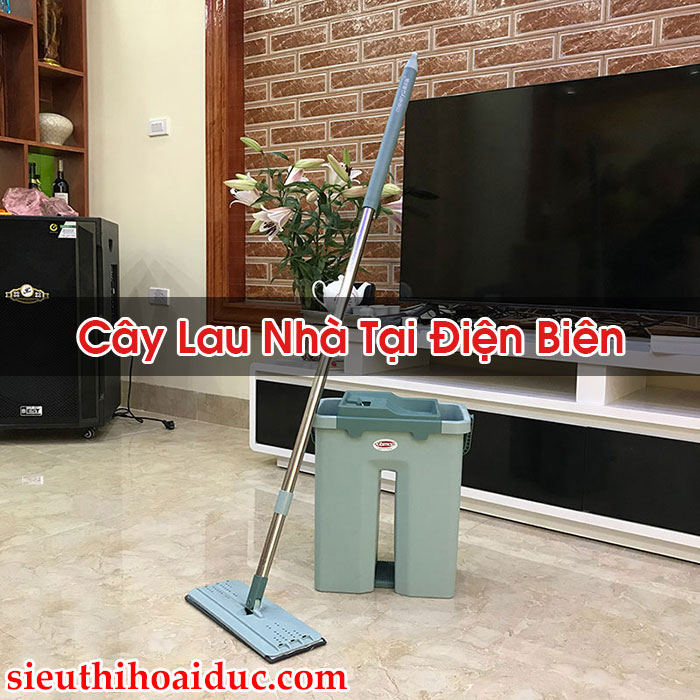 Cây Lau Nhà Tại Điện Biên