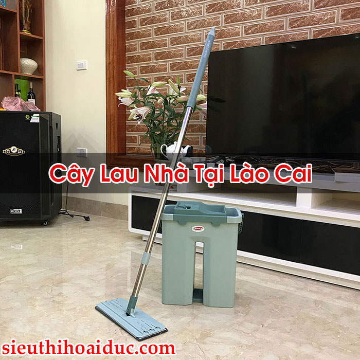 Cây Lau Nhà Tại Lào Cai